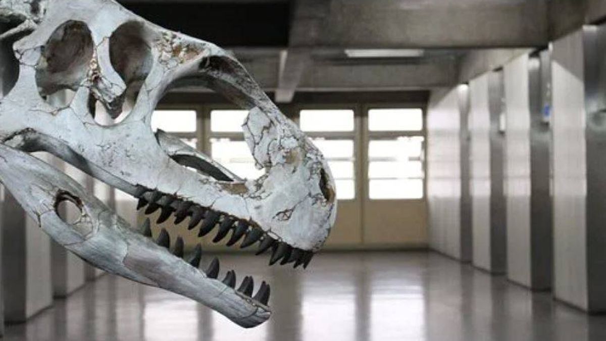 Nuevos hallazgos revelan cuál es el dinosaurio más antiguo del planeta