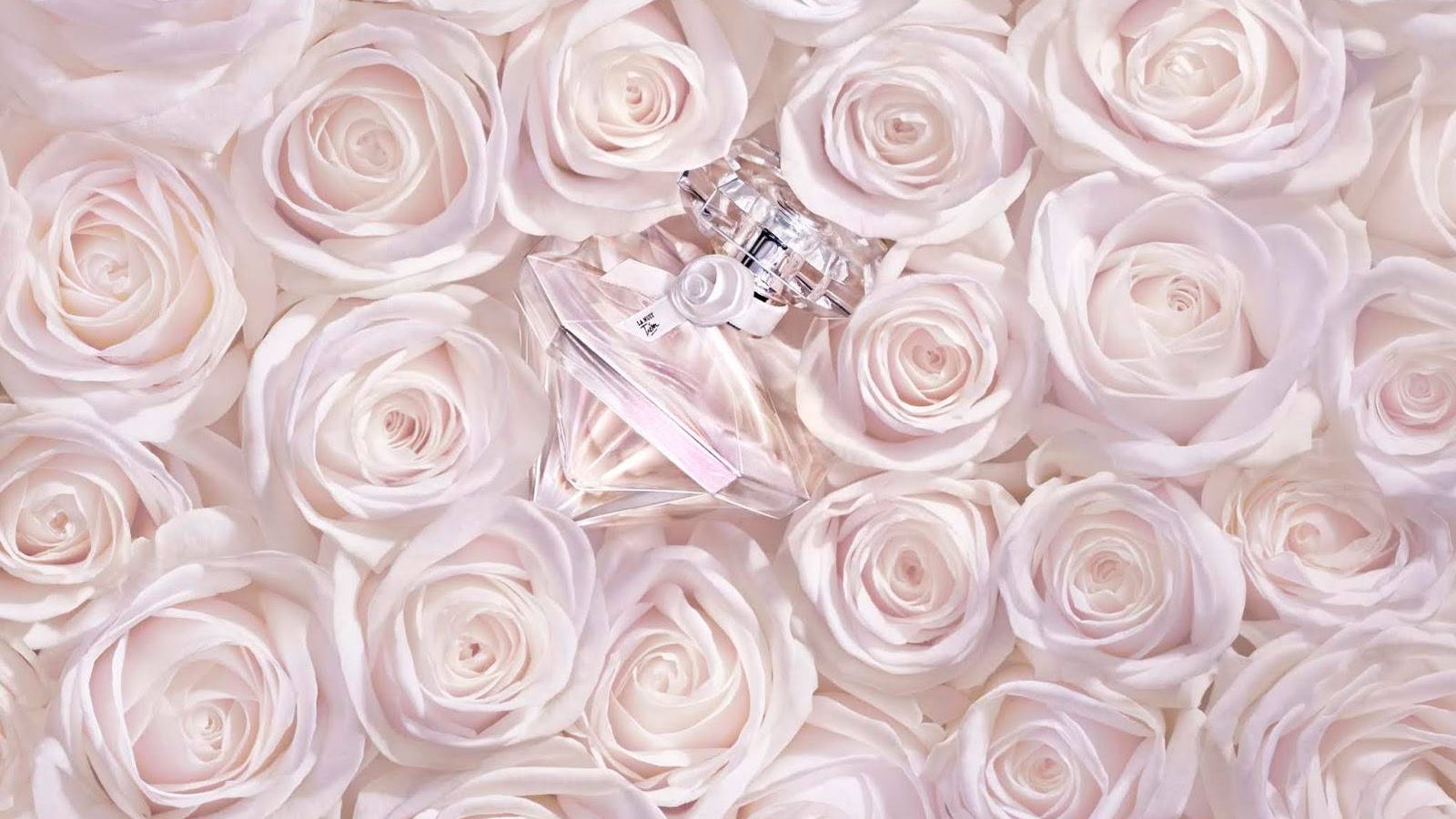 Foto: El nuevo perfume Lancôme La Nuit Tresor Diamant es un aroma dulce y embragador con almizcle. (Cortesía Lancôme)