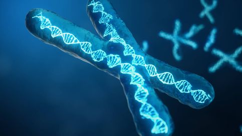 Una nueva estructura en el ADN clave para alargar la vida y luchar contra el cáncer