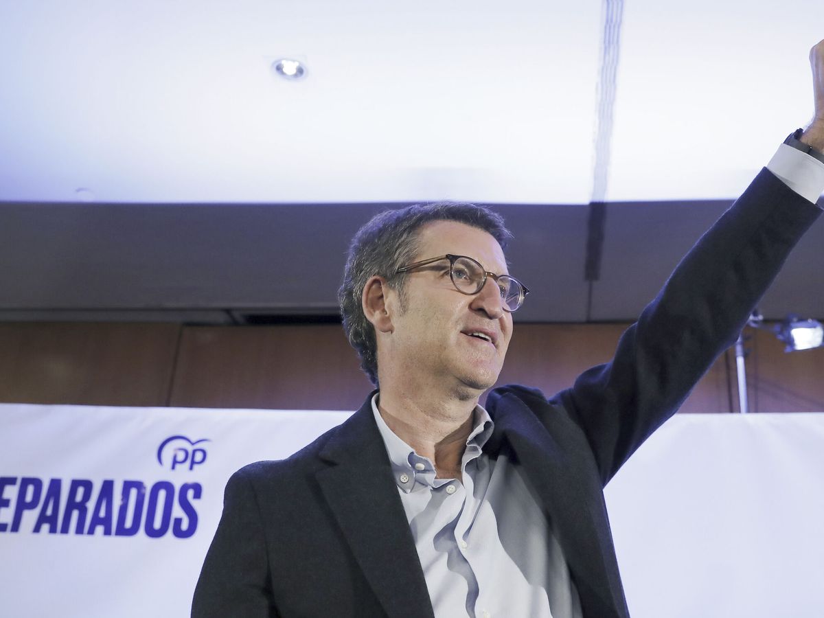 Foto: El candidato a la presidencia del PP, Alberto Núñez Feijóo (EFE)