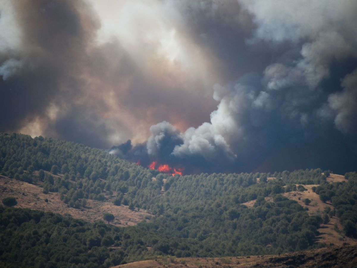 Foto: Imagen del incendio activo en Ateca (Zaragoza) visto desde la localidad aragonesa. (EFE/Javier Cebollada)