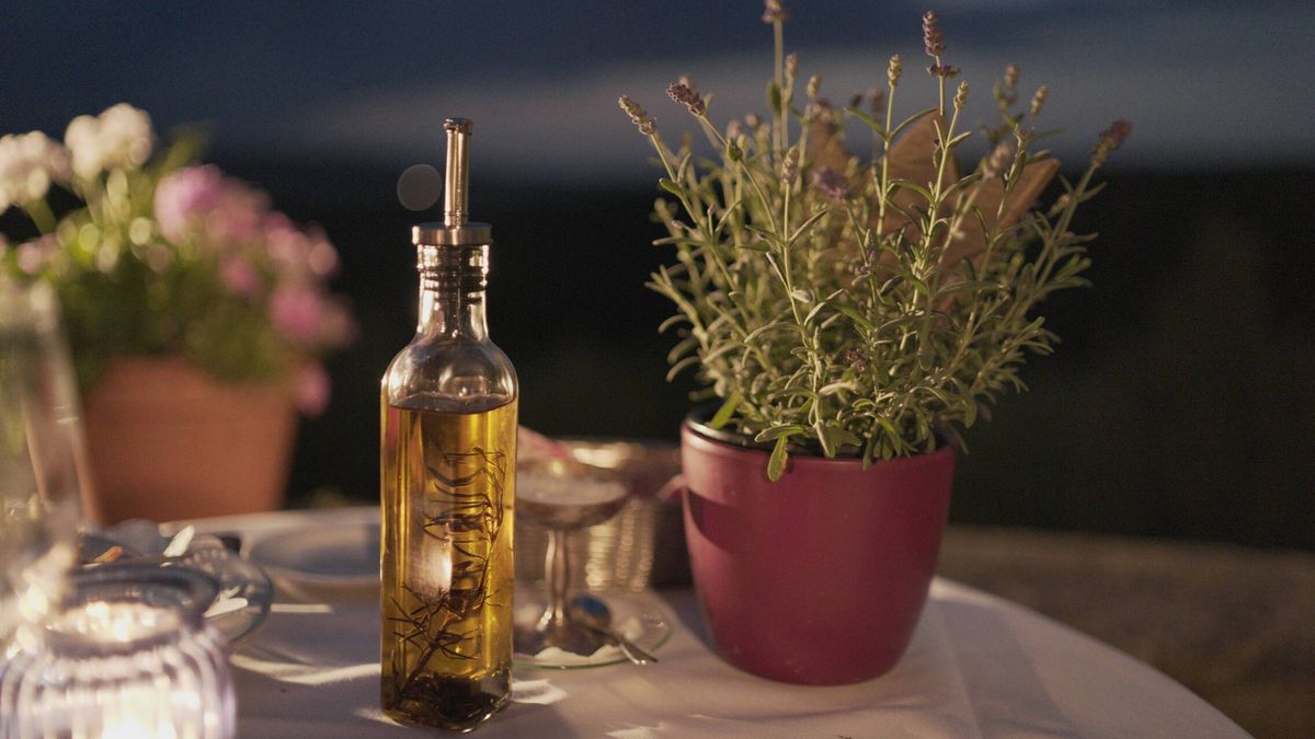 Aceite de oliva vs. girasol: ¿cuáles son sus diferencias reales?