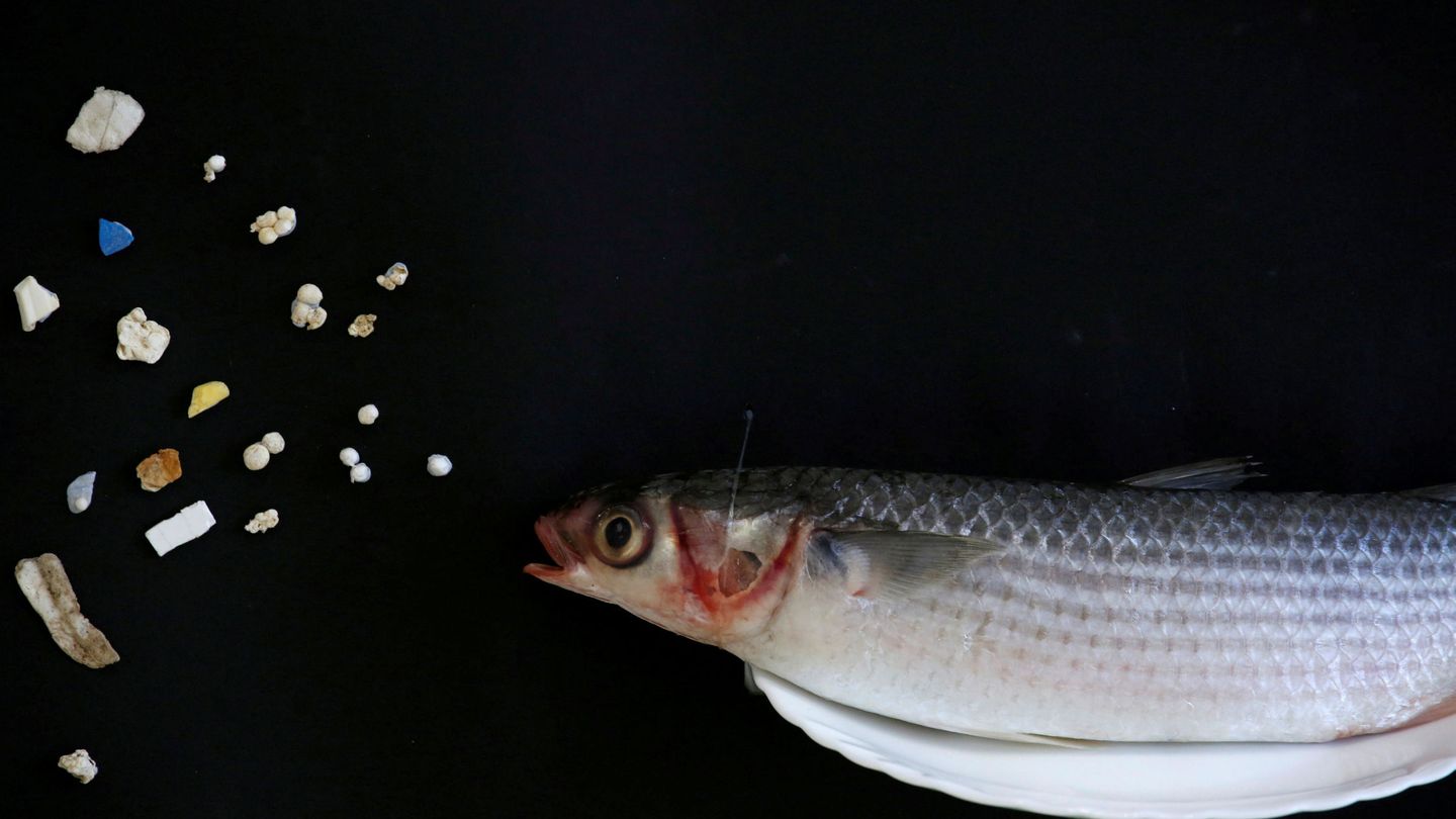 Los microplasticos pasan a la cadena alimentaria. (Reuters/B.Yip)