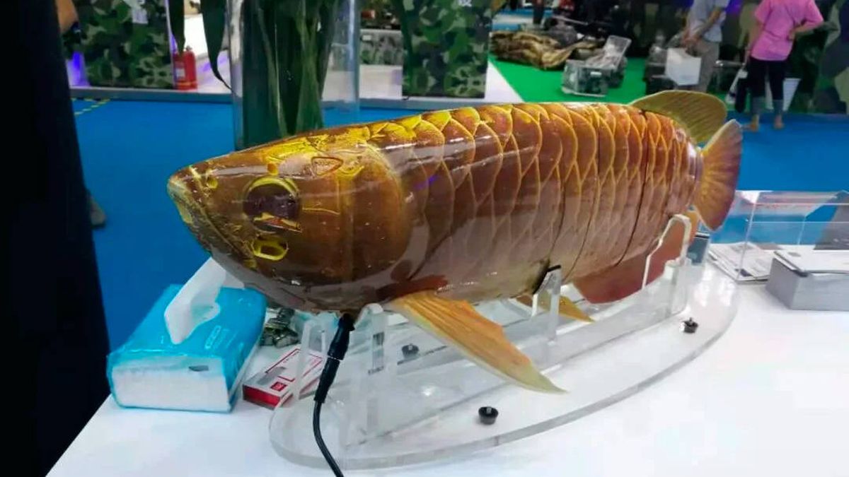 No te asustes pero… no es un pez: es un dron submarino del ejército chino