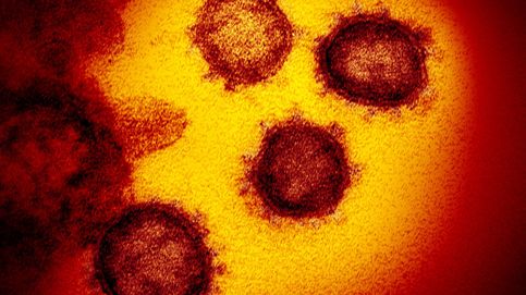 El virus que entró en España no es el mismo que salió de Wuhan: lo que revela su genoma