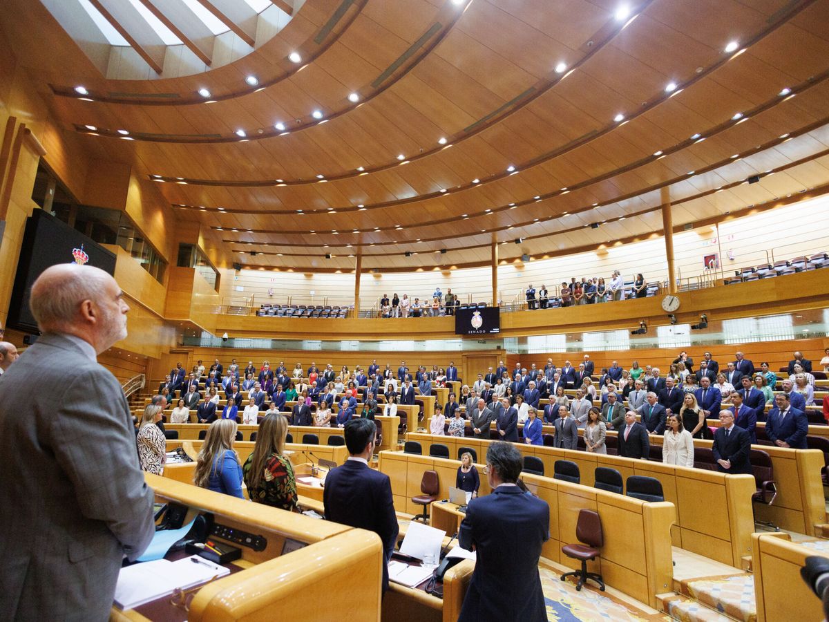 Foto: Hemiciclo durante una sesión plenaria en el Senado. (Europa Press/Eduardo Parra)