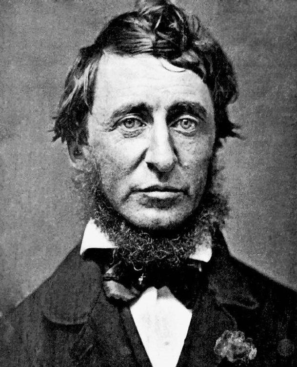 Henry David Thoreau, comedor de donuts.