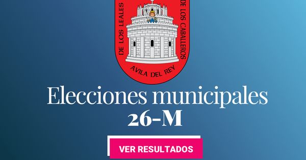 Foto: Elecciones municipales 2019 en Ávila. (C.C./EC)