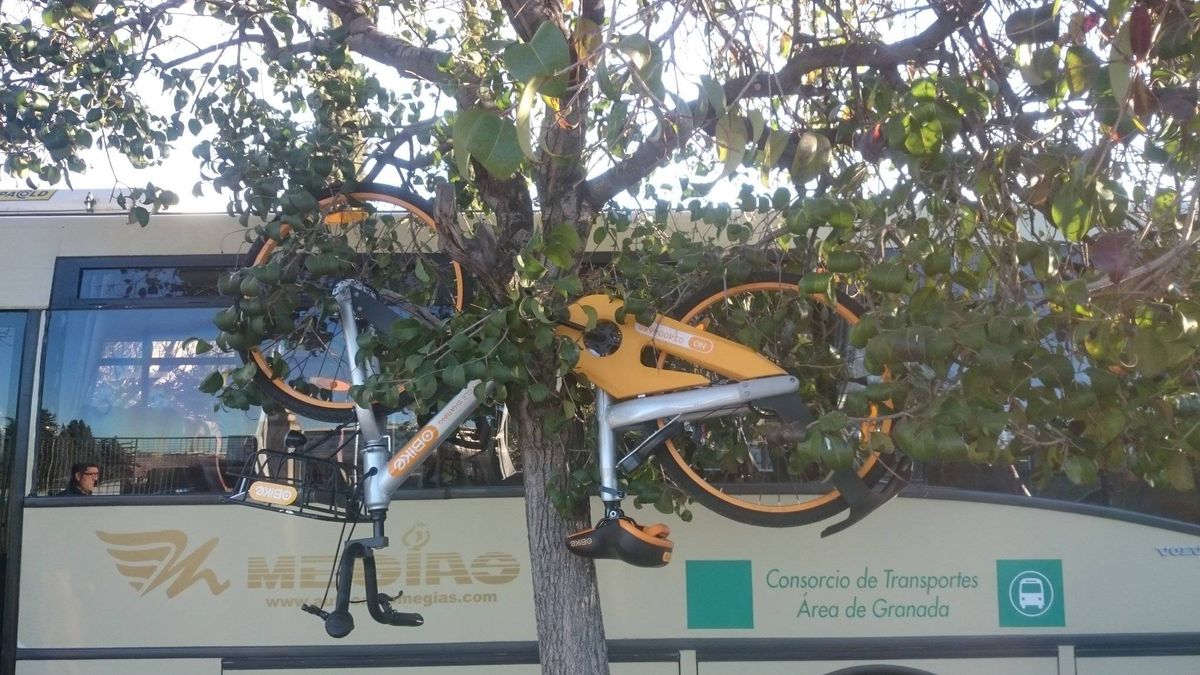 Colgadas en árboles y rajadas: vandalismo en España contra las bicis compartidas