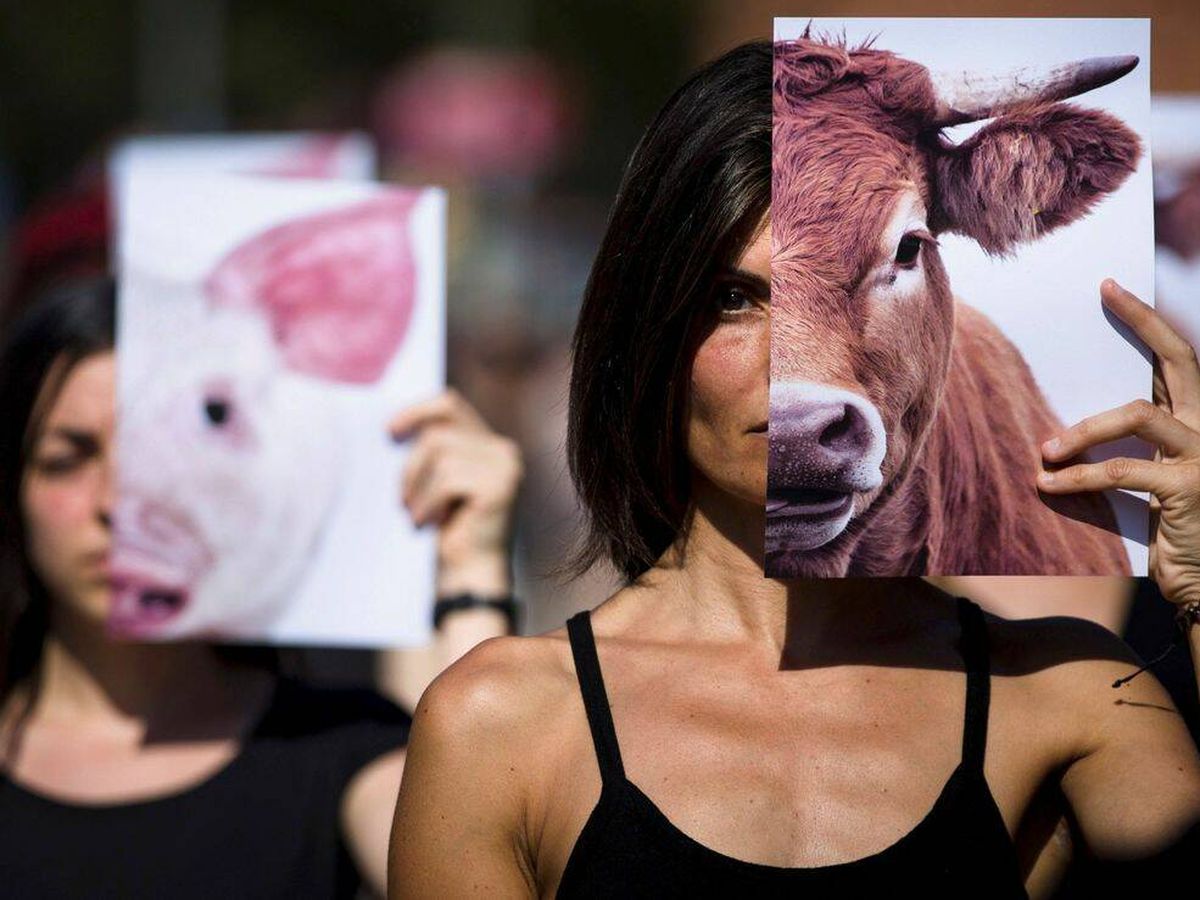 Foto: Varias mujeres portan fotografías de un animal durante una acción de protesta contra el maltrato animal de Animalia Naturalis Enric. (Enric Fontcuberta/EFE)