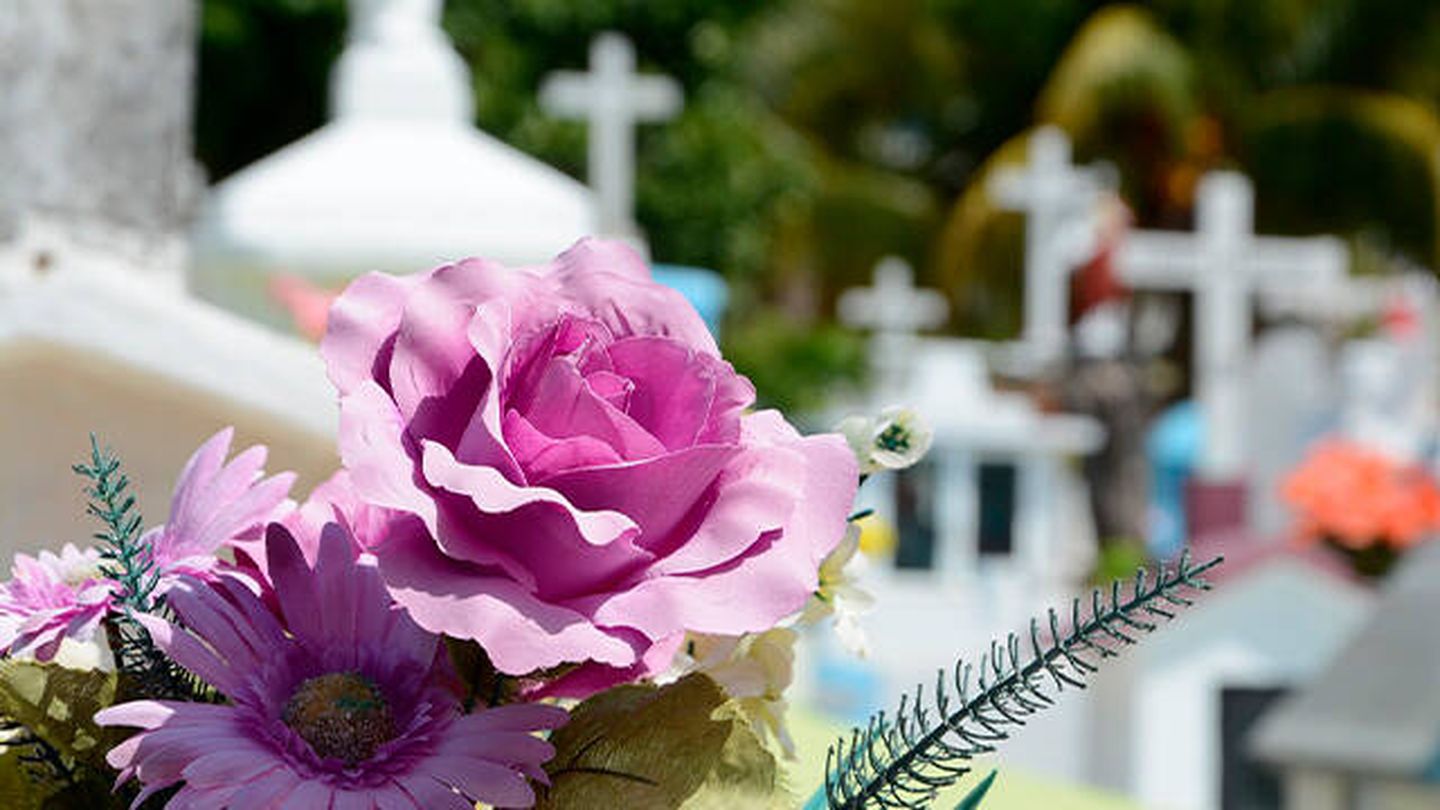 Llevar flores al cementerio, tradición del día de Todos los Santos (Pixabay)