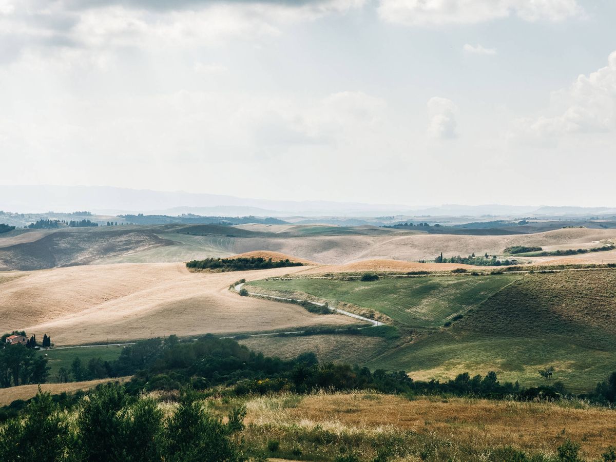 Foto: Las vistas de la región de la Toscana son excepcionales (freepic.diller para Freepik)
