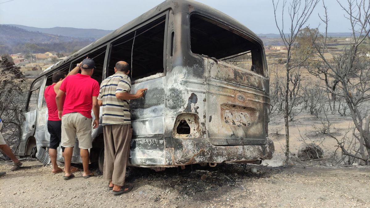 Argelia: el alto precio a pagar por no contar con España para apagar los incendios forestales
