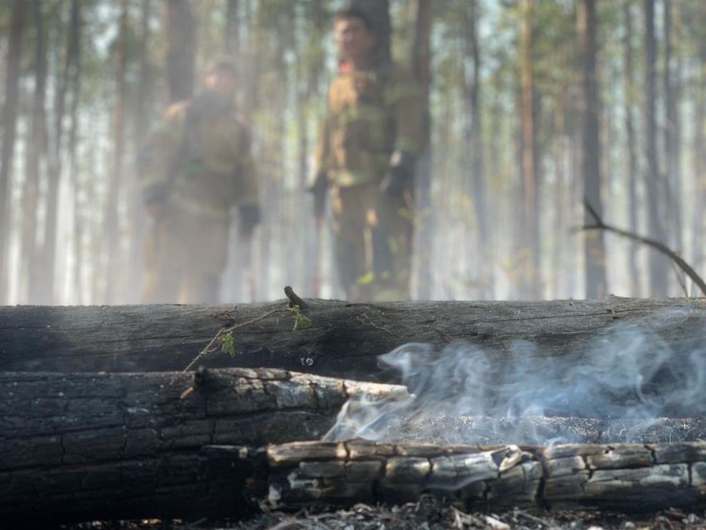 Incendio forestal en Siberia en 2020. (EFE)