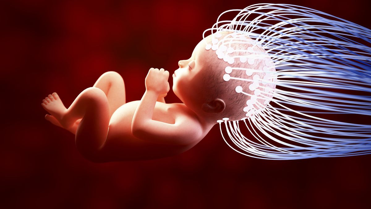 Lo que los niños intuyen: cómo es la vida antes del nacimiento