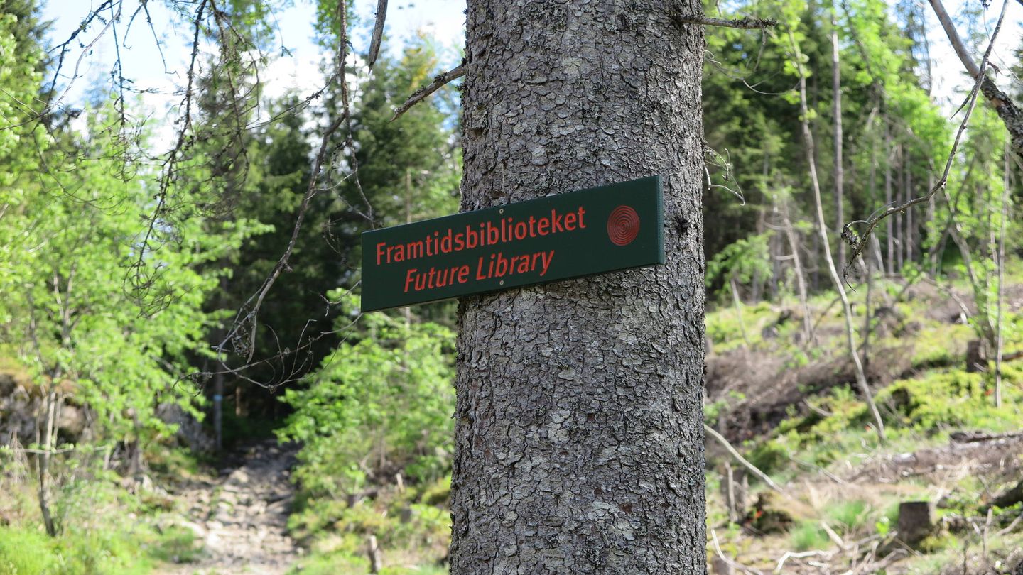 Emplazamiento del bosque que en 2114 será talado y convertido en la Biblioteca del Futuro. (Vibeke Hermanrud)
