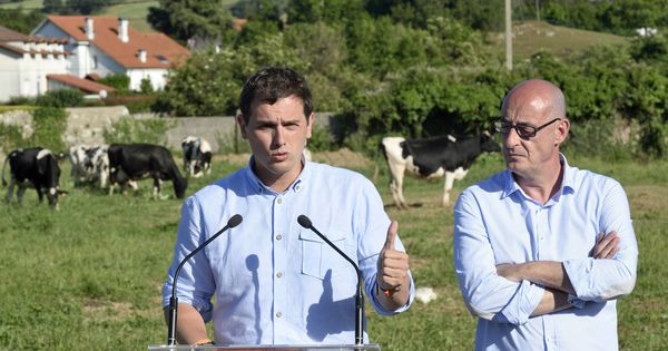 Foto: Albert Rivera en Cantabria durante la campaña de 2015 (EFE)