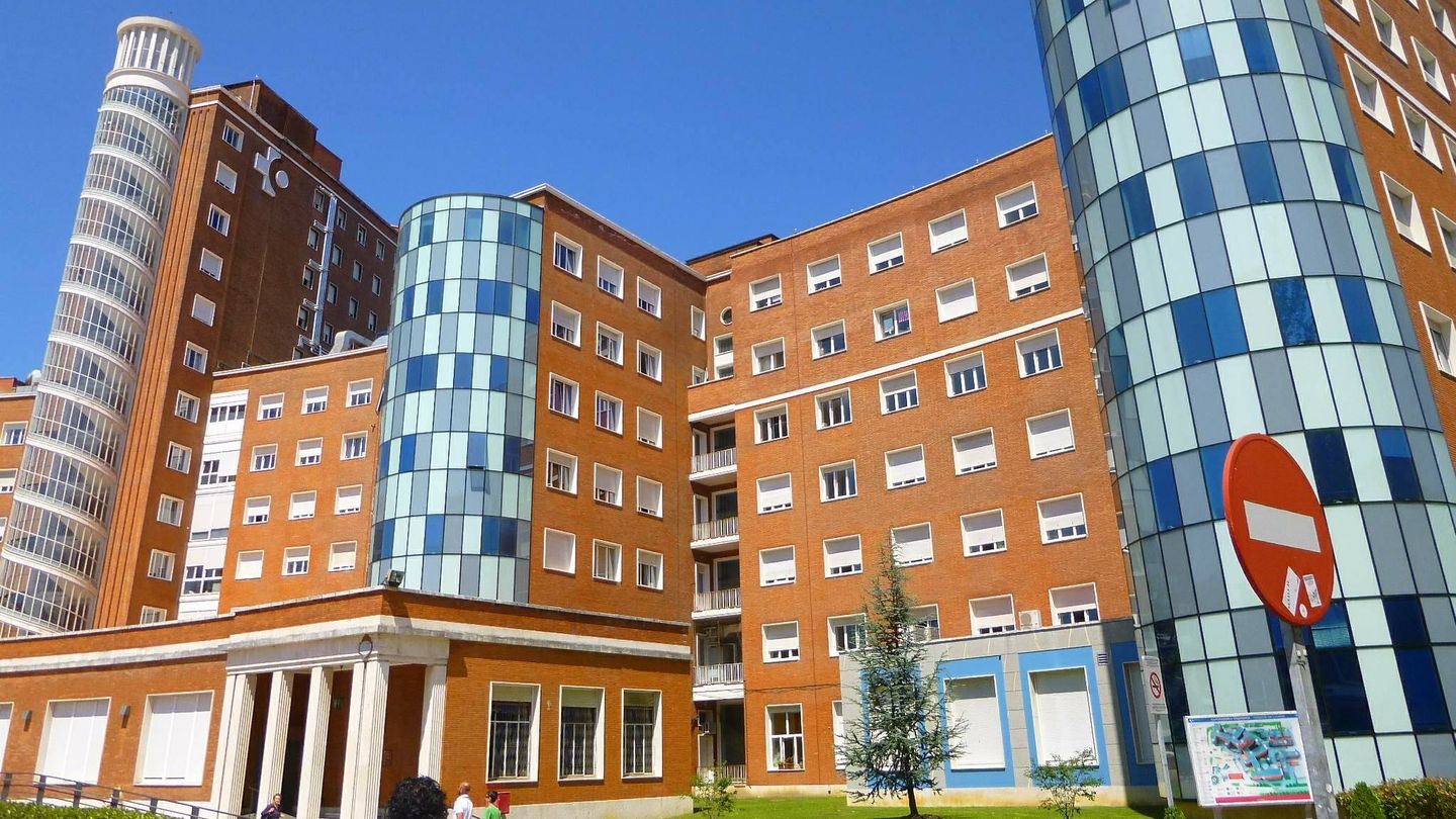 Hospital Universitario de Cruces. (Wikimedia / Zarateman)