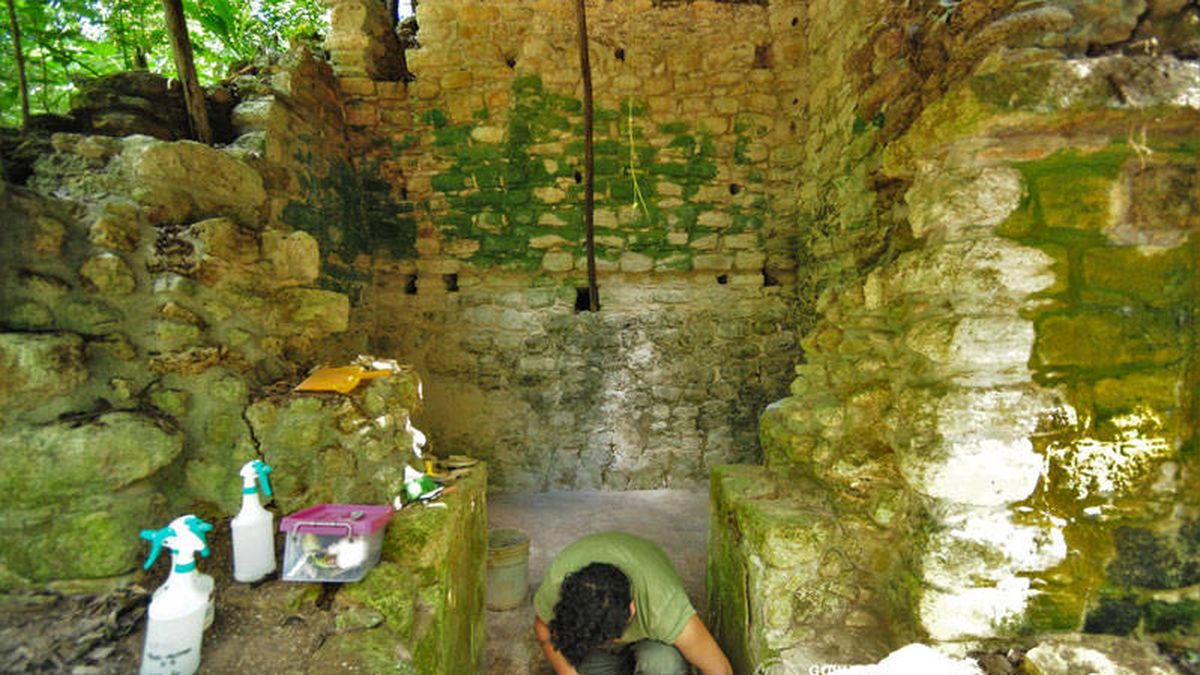 Descubierto en Yucatán un enorme palacio que ocupó la élite maya hace 1.000 años