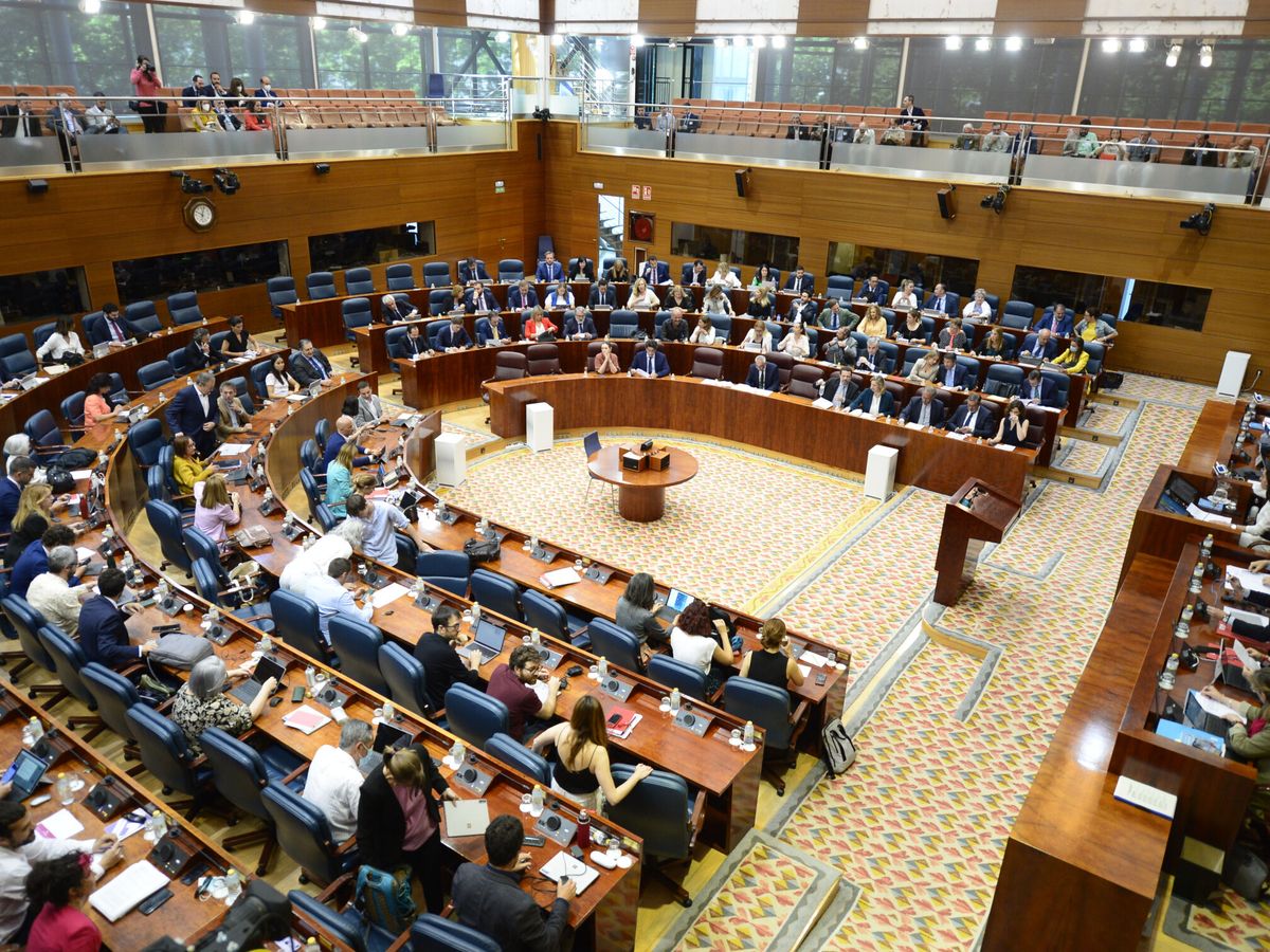 Foto: Vista del hemiciclo durante la sesión de control del Pleno de la Asamblea de Madrid. (EFE/Víctor Lerena)