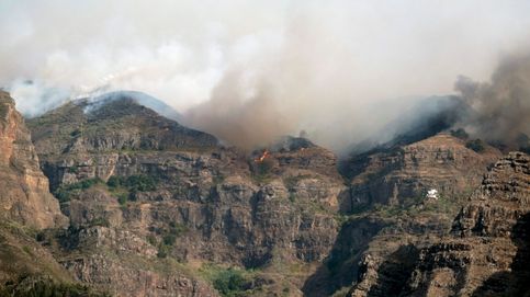 El incendio de Gran Canaria: por qué ya es un gran desastre medioambiental