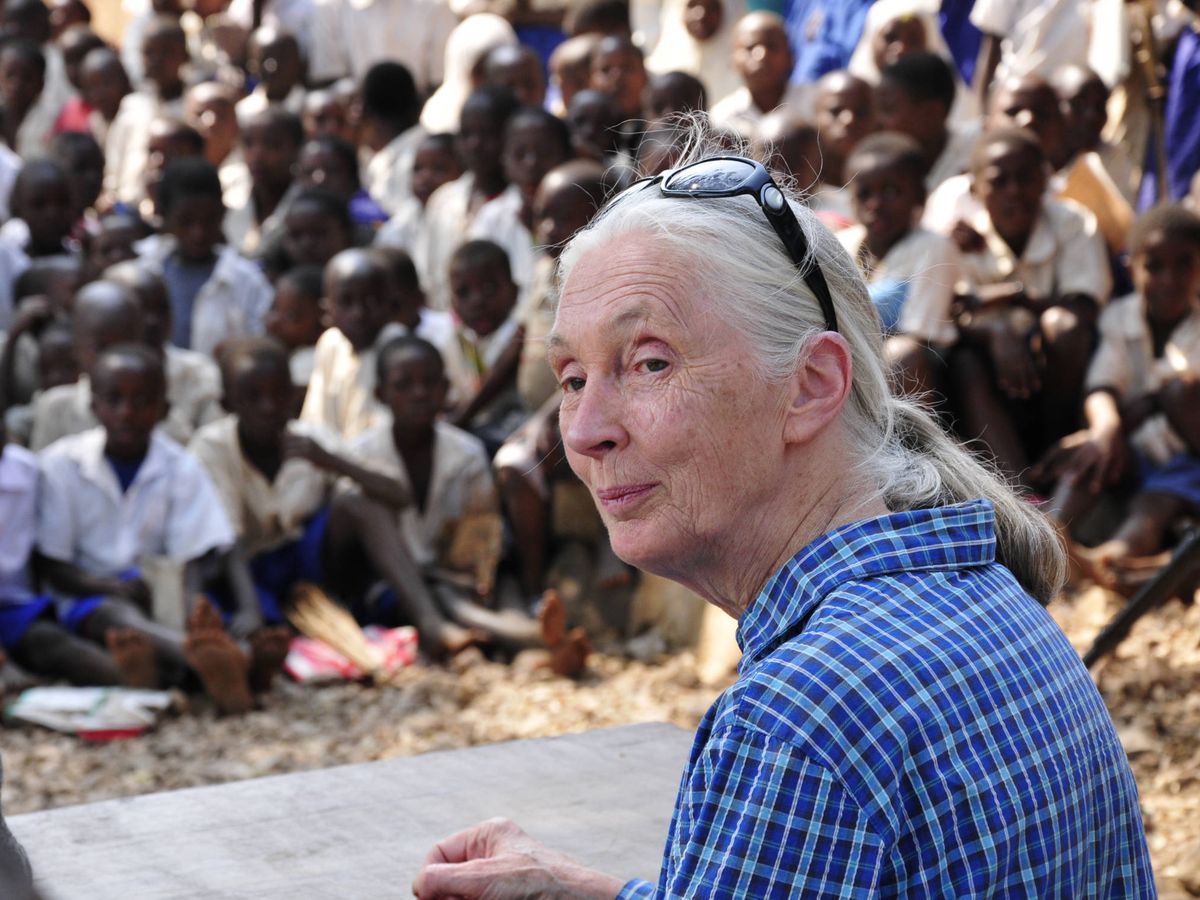 Foto: Jane Goodall, en una pequeña aldea cerca de Kigoma, Tanzania. (Cedida)