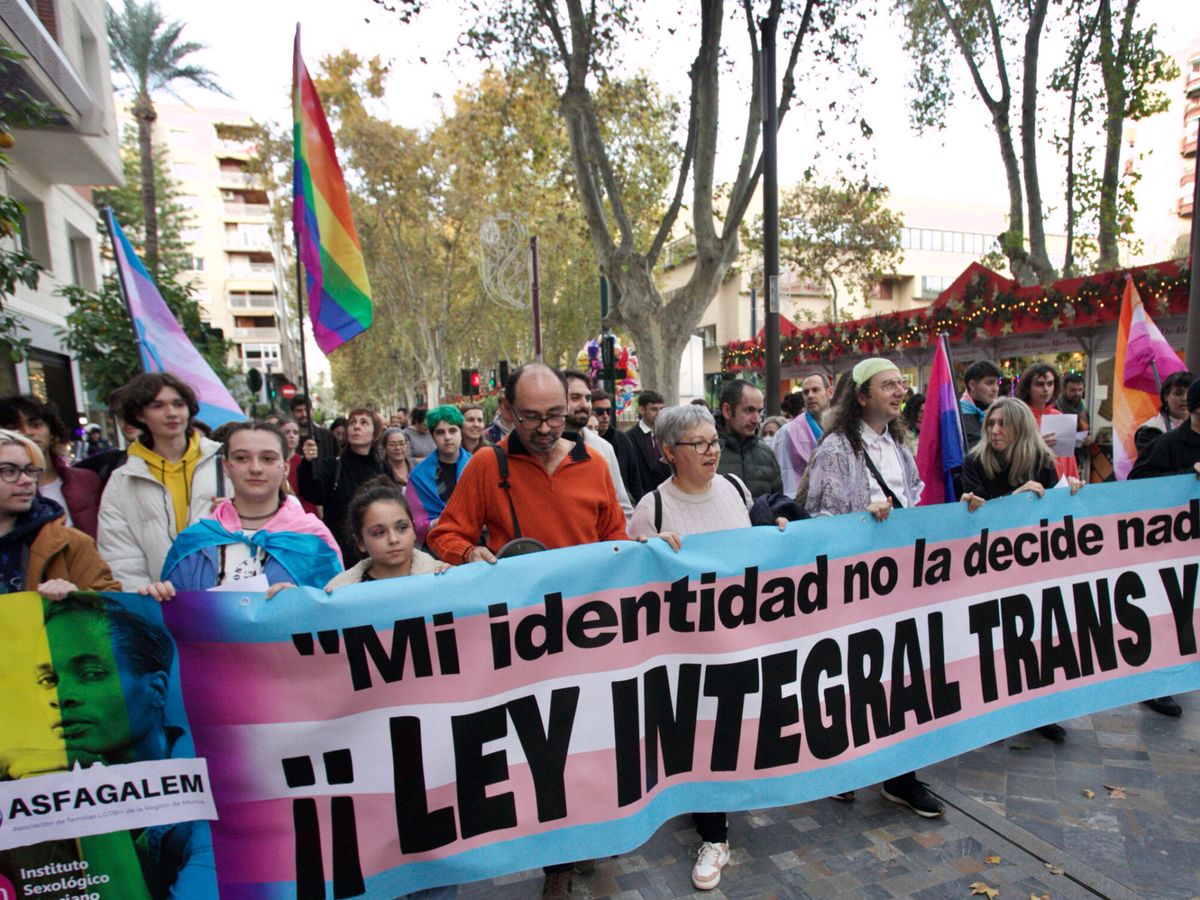 Foto: Manifestación de los colectivos LGTB en Murcia en defensa de los derechos trans. (EFE/Juan Carlos Caval)