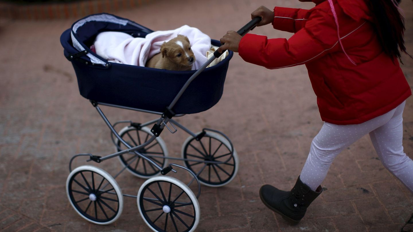 Una niña empuja un perro en un carrito tras ser bendecido por un sacerdote en Benalmádena (Málaga). (Reuters/Jon Nazca)