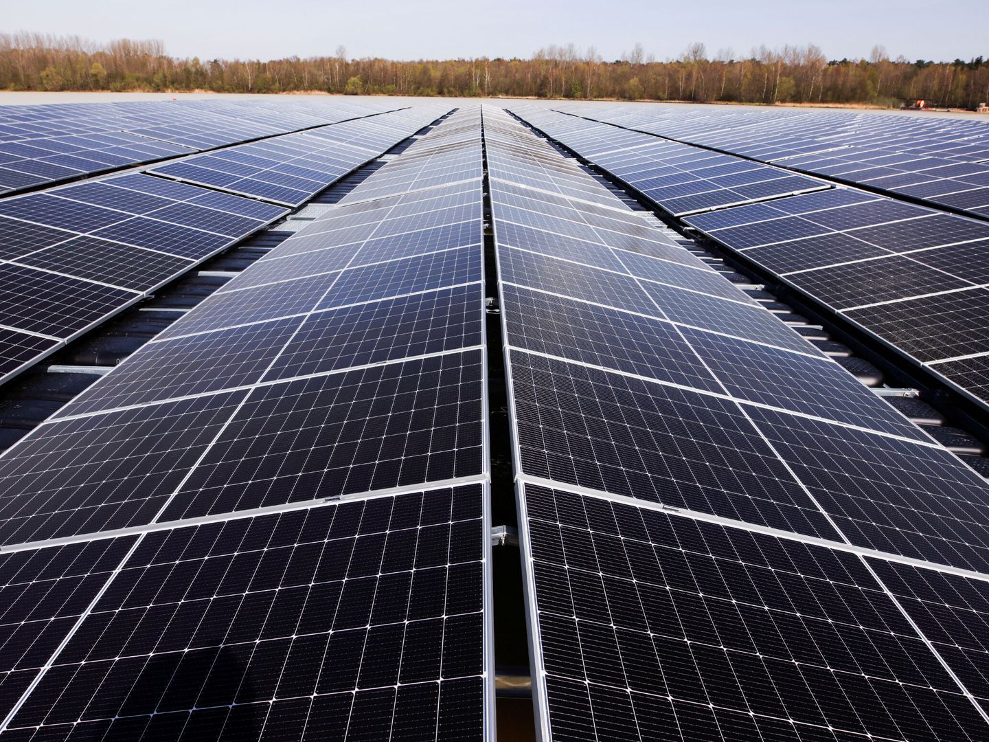 Foto de recurso de una planta de producción de electricidad con paneles de solar fotovoltaica. (Reuters)