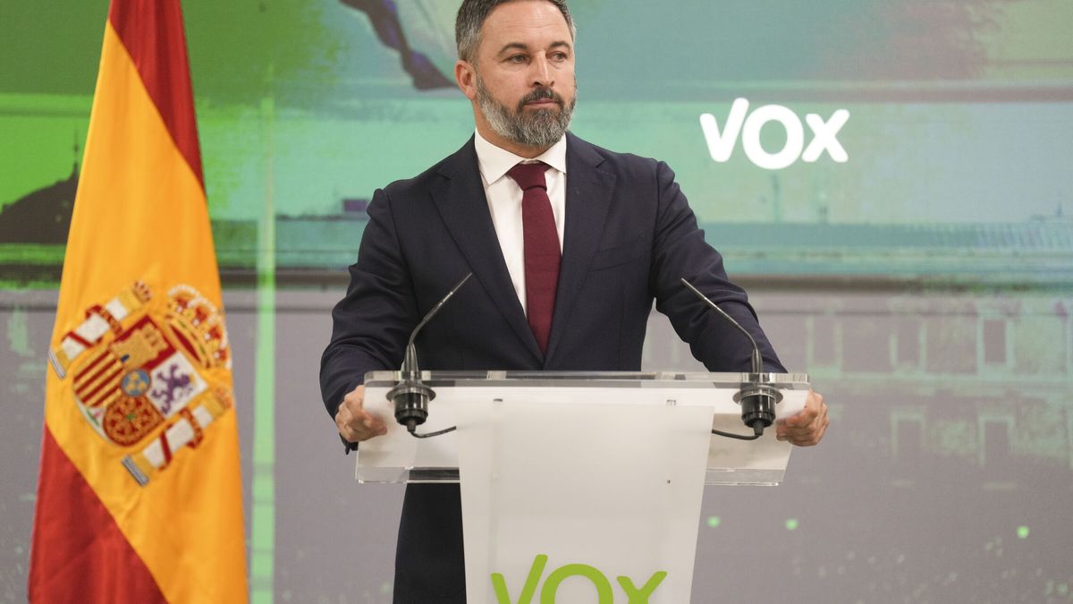 Vox también solicita medidas cautelares al TC para frenar la reforma del Código Penal