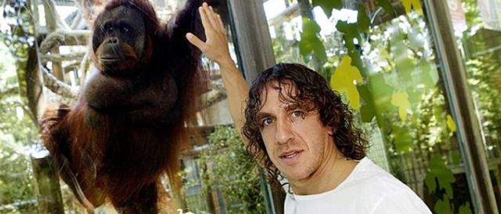 Foto: Puyol, el hombre que susurraba a los orangutanes