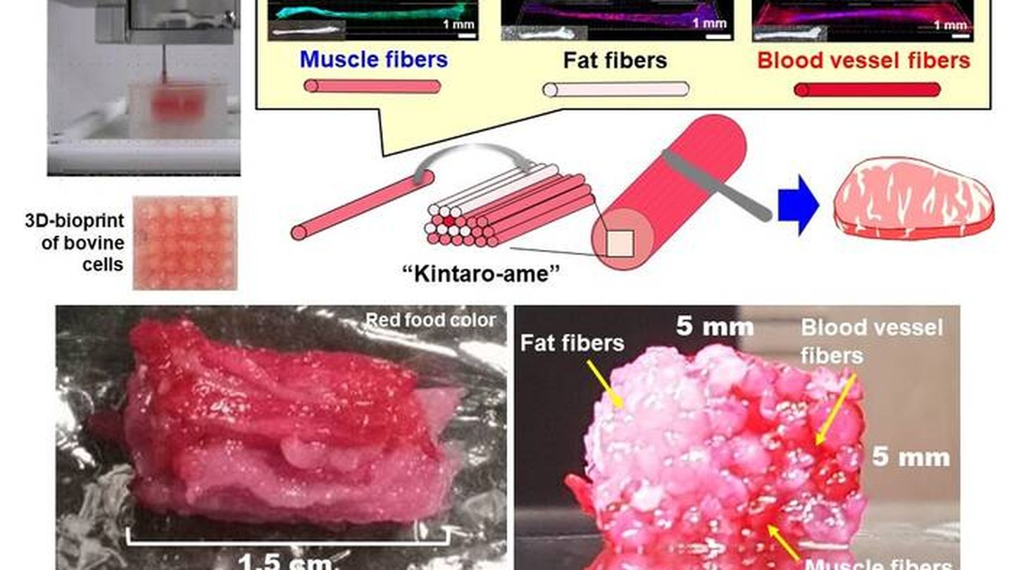 Así funciona el proceso de impresión 3D de la carne de Wagyu sintética. (Universidad de Osaka)