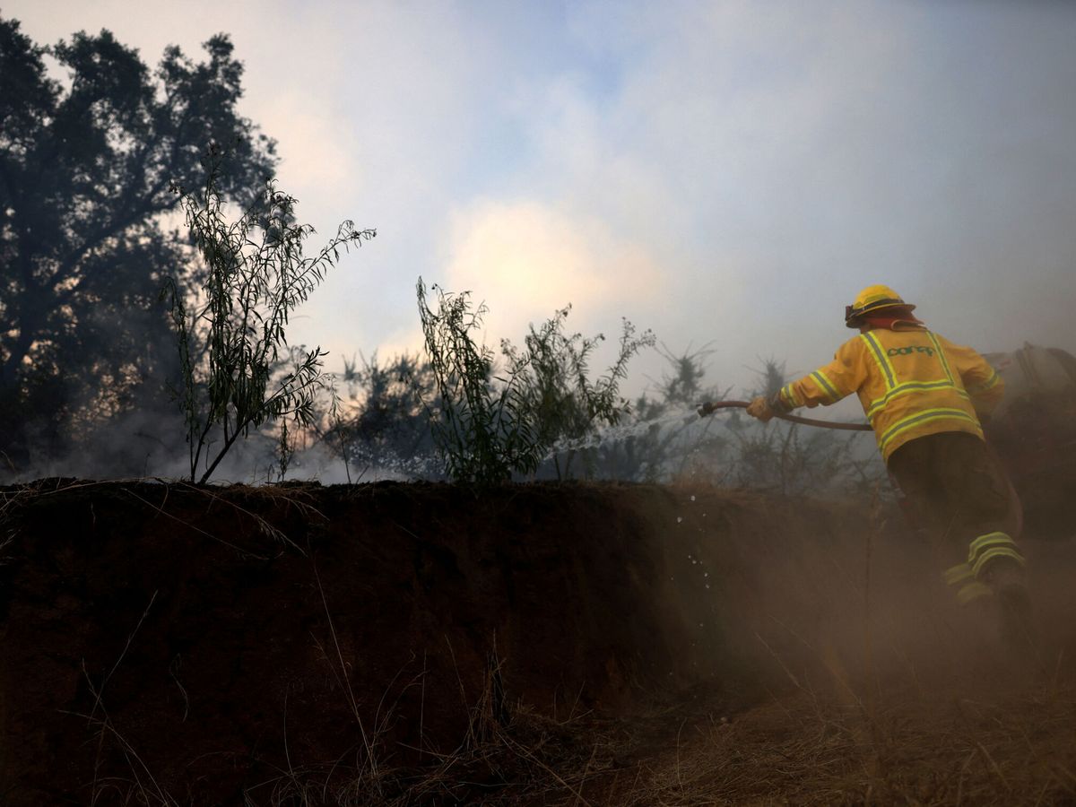 Foto: Incendios en Chile. (Reuters/Ivan Alvarado)