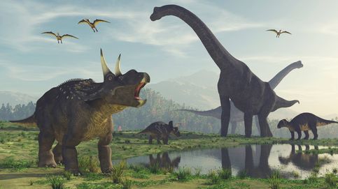 Por qué pensar que los dinosaurios dominaban la Tierra es una idea de lo más equivocada