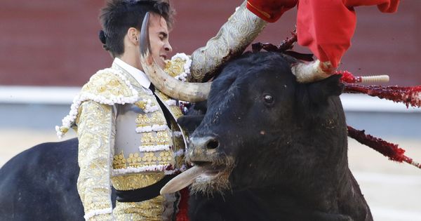 Foto: El diestro Gonzalo Caballero, en la faena a su segundo toro. (EFE)