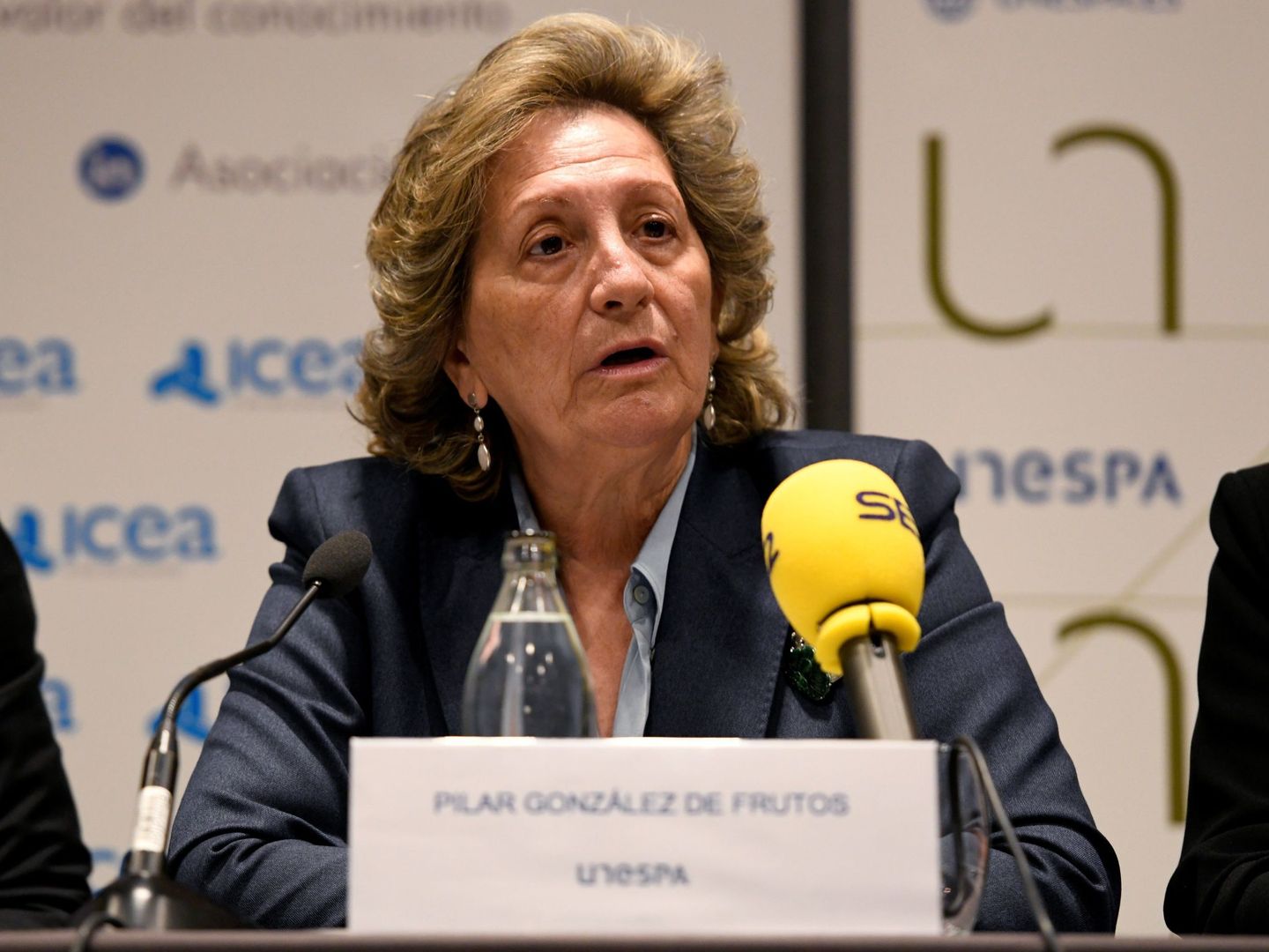 Pilar González de Frutos, presidenta de Unespa. (EFE)
