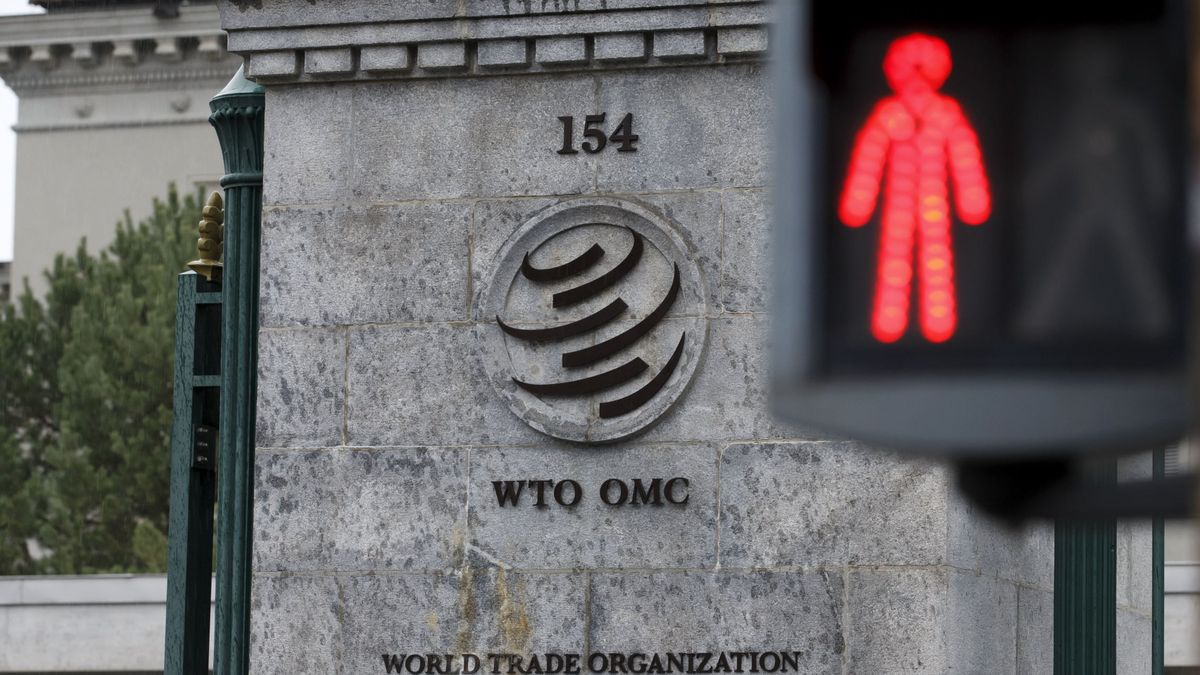 México e Irlanda ponen cuesta arriba la candidatura de España para la OMC