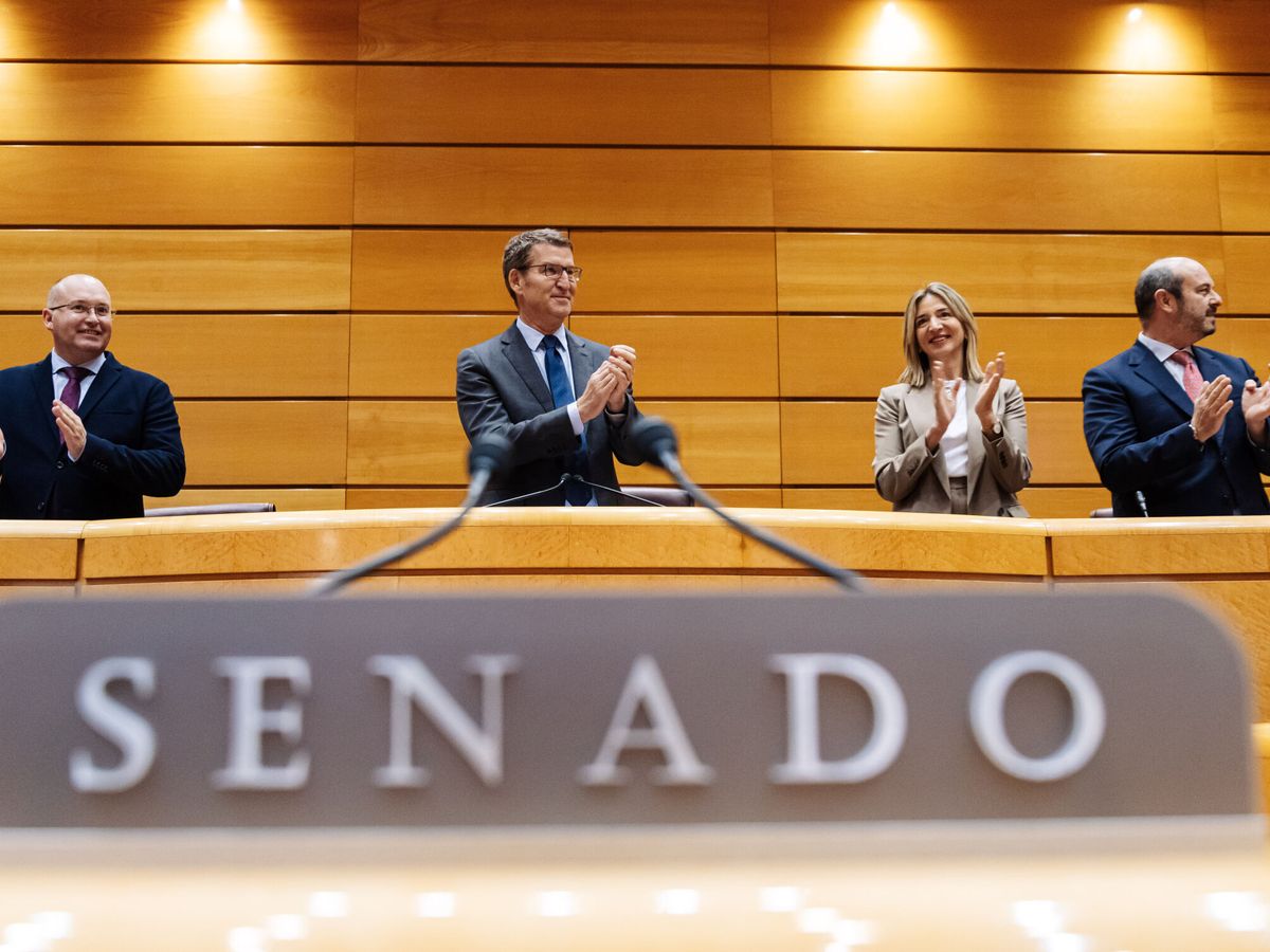 Foto: El líder del PP, Alberto Núñez Feijóo, junto a Miguel Tellado, Alicia García y Pedro Rollán, en el Senado. (Europa Press/Carlos Luján) 