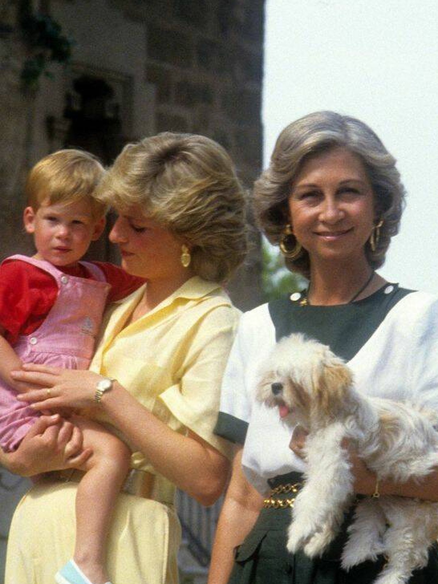 Diana de Gales con su hijo Harry junto a la reina Sofía y el perro de esta, en Mallorca. (Cordon Press)