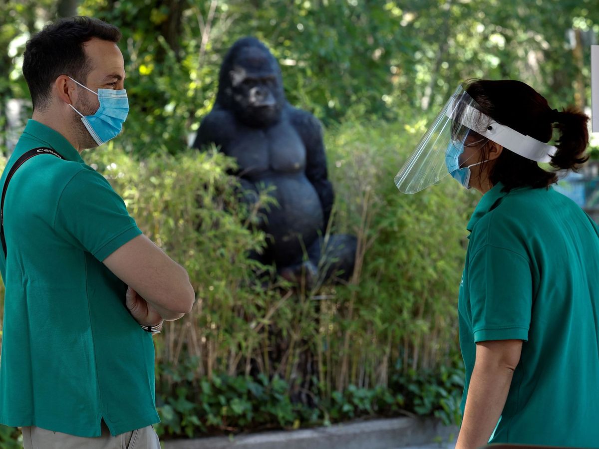 Foto: Dos empleados conversan ante la instalación de los gorilas en el Zoo de Madrid, este lunes. (EFE)