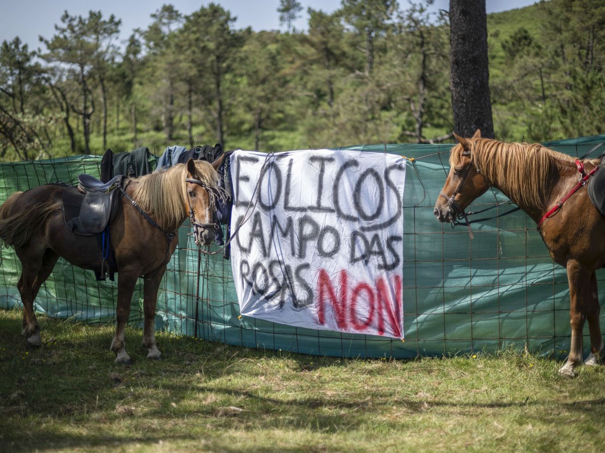 Foto: Cartel contra los molinos en Galicia. (EFE/Brais Lorenzo)