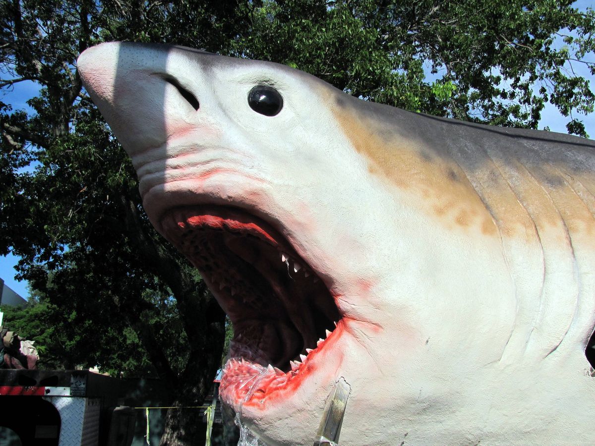 Foto: Maqueta de un tiburón prehistórico gigante. Foto: EFE