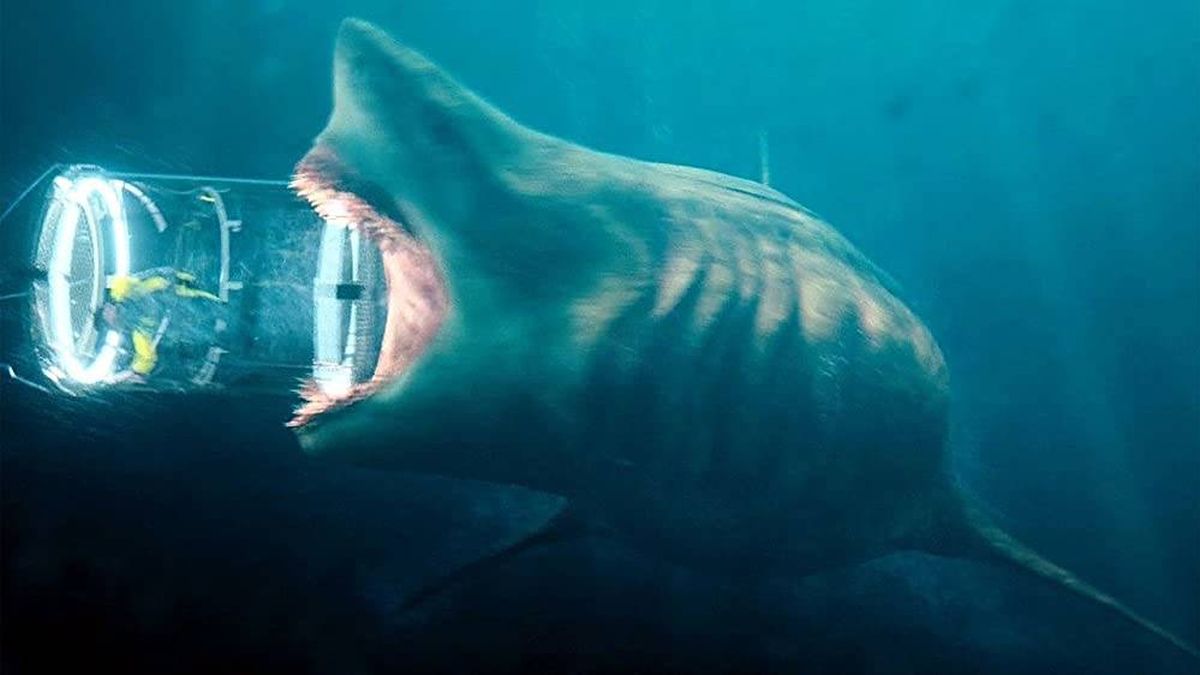 Desvelan el verdadero tamaño de un enorme tiburón prehistórico megalodón