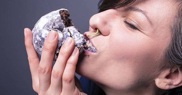 Foto: La comida basura seduce a nuestro olfato cuando hemos dormido poco. Foto: Pixabay.