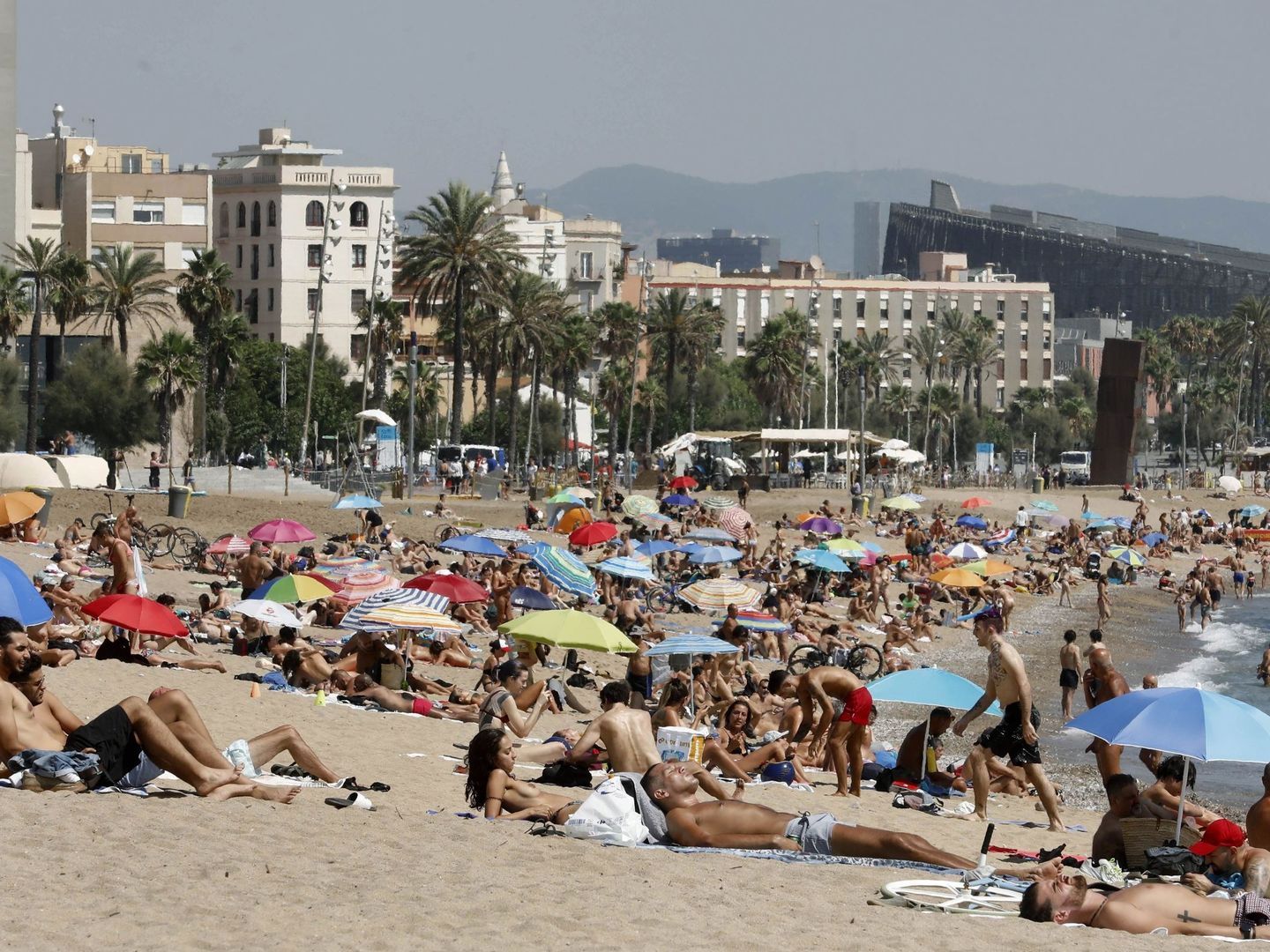 Aspecto que presentaba la playa de la Barceloneta a mediodía del 15 de agosto. (EFE)
