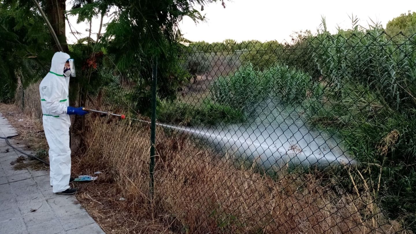 Un operario fumiga el río en la localidad sevillana de Coria. (EFE)