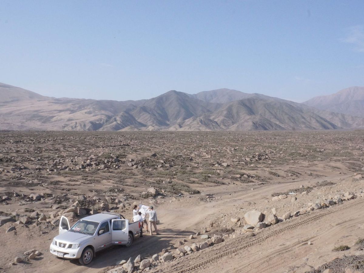 Foto: Este es el lugar, en medio del desierto, donde se proyecta la futura Ciudad Bicentenario (EFE)