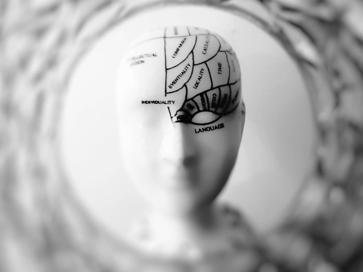 Foto: Descubre cómo funciona el cerebro humano. (Pexels)