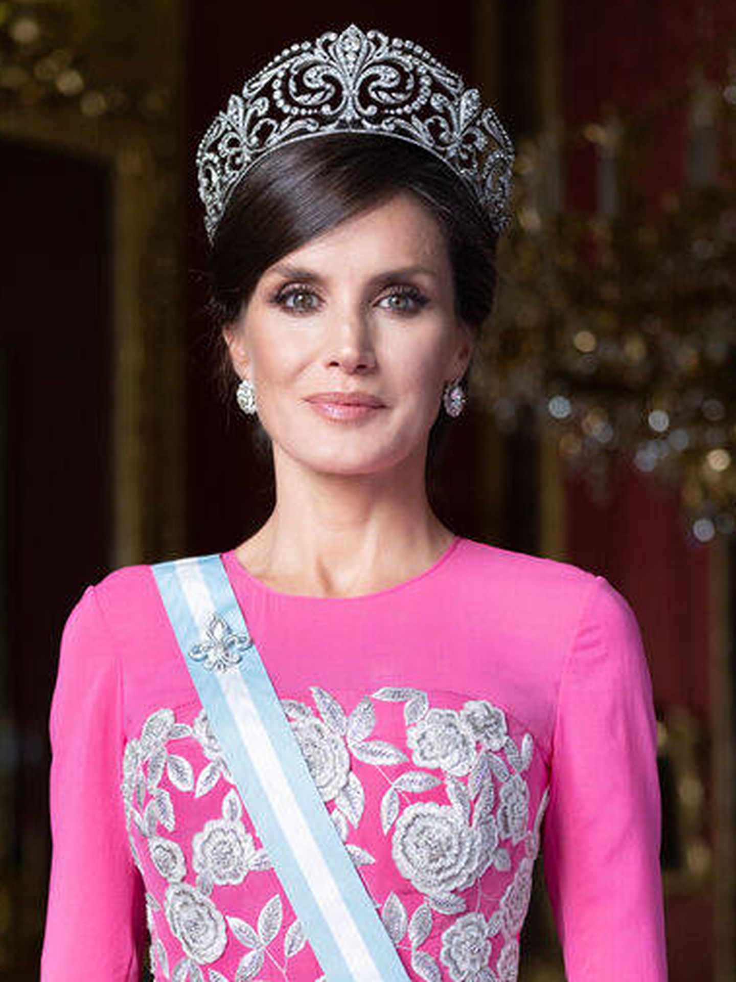 Retrato oficial de gala de la reina Letizia. (Casa Real/Estela de Castro)