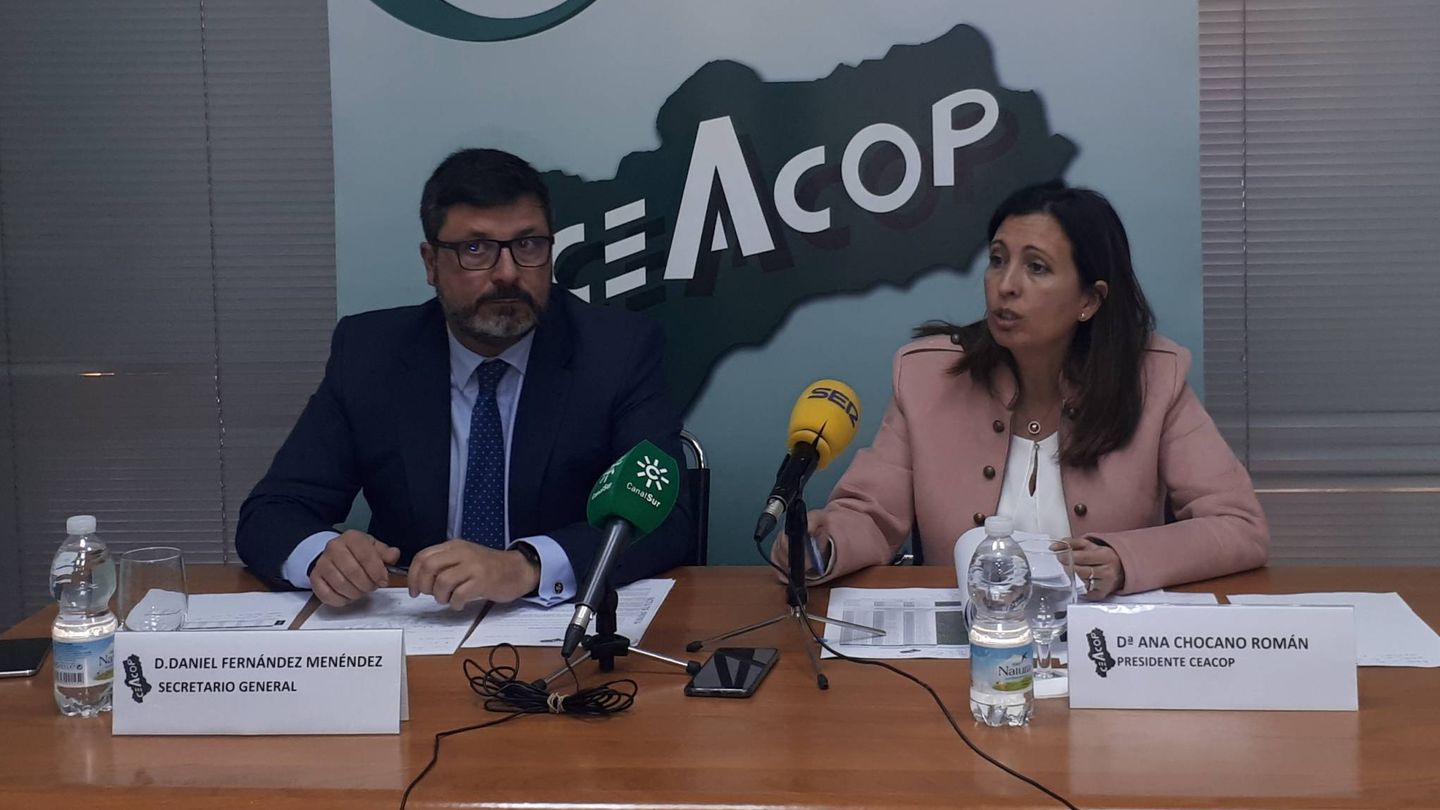 Daniel Fernández y Ana Chocano, de Ceacop, en la presentación del informe en Sevilla. (Ceacop)